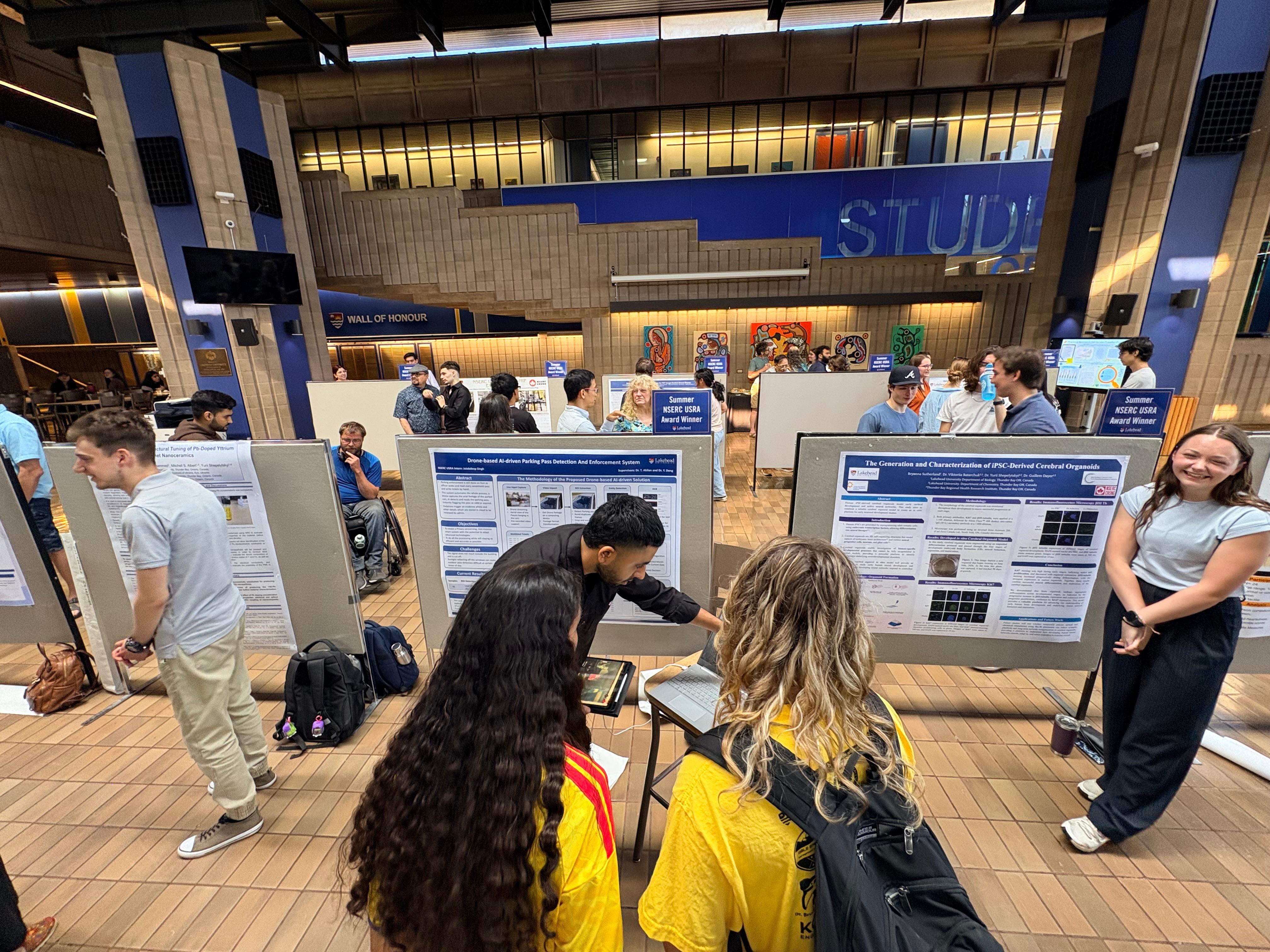 NSERC USRA Presentation